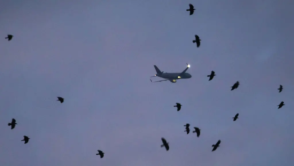 f64726110cafe4c4a269e7a03d2ef3b5