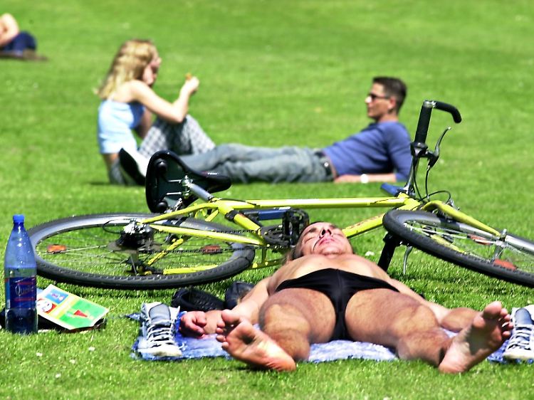 Auch beim Schläfchen im Park gilt: Das Rad gut sichern, sonst gibt es ein böses Erwachen.