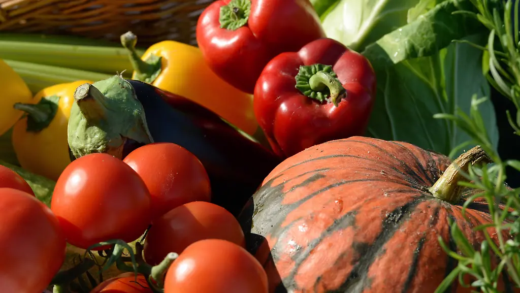 US-Forscher-haben-untersucht-ob-sich-eine-Low-Fat-oder-Low-Carb-Diaet-zum-Abnehmen-besser-eignet