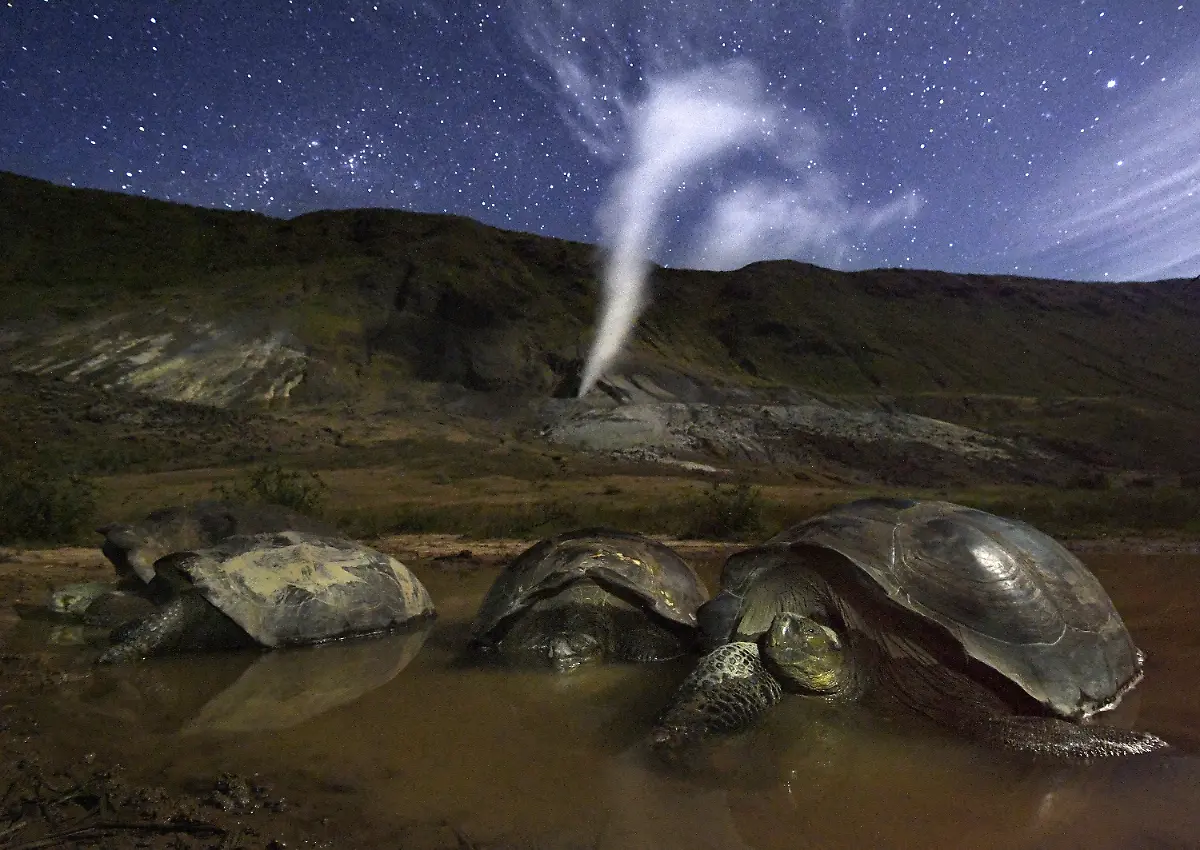 086-Thomas-P-Peschak-for-National-Geographic