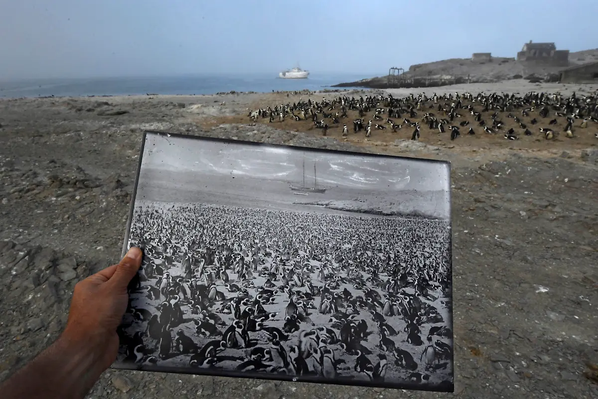 024-Thomas-P-Peschak