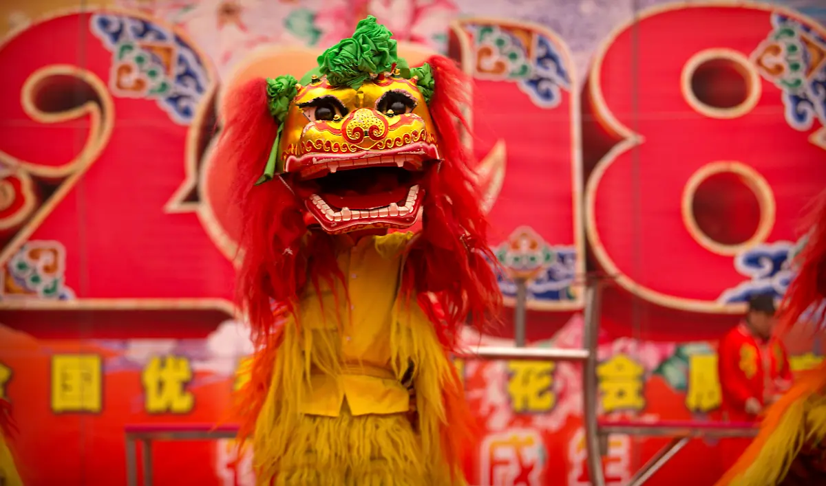 847dc6cb73e9a9d1f62f14aa175f155e