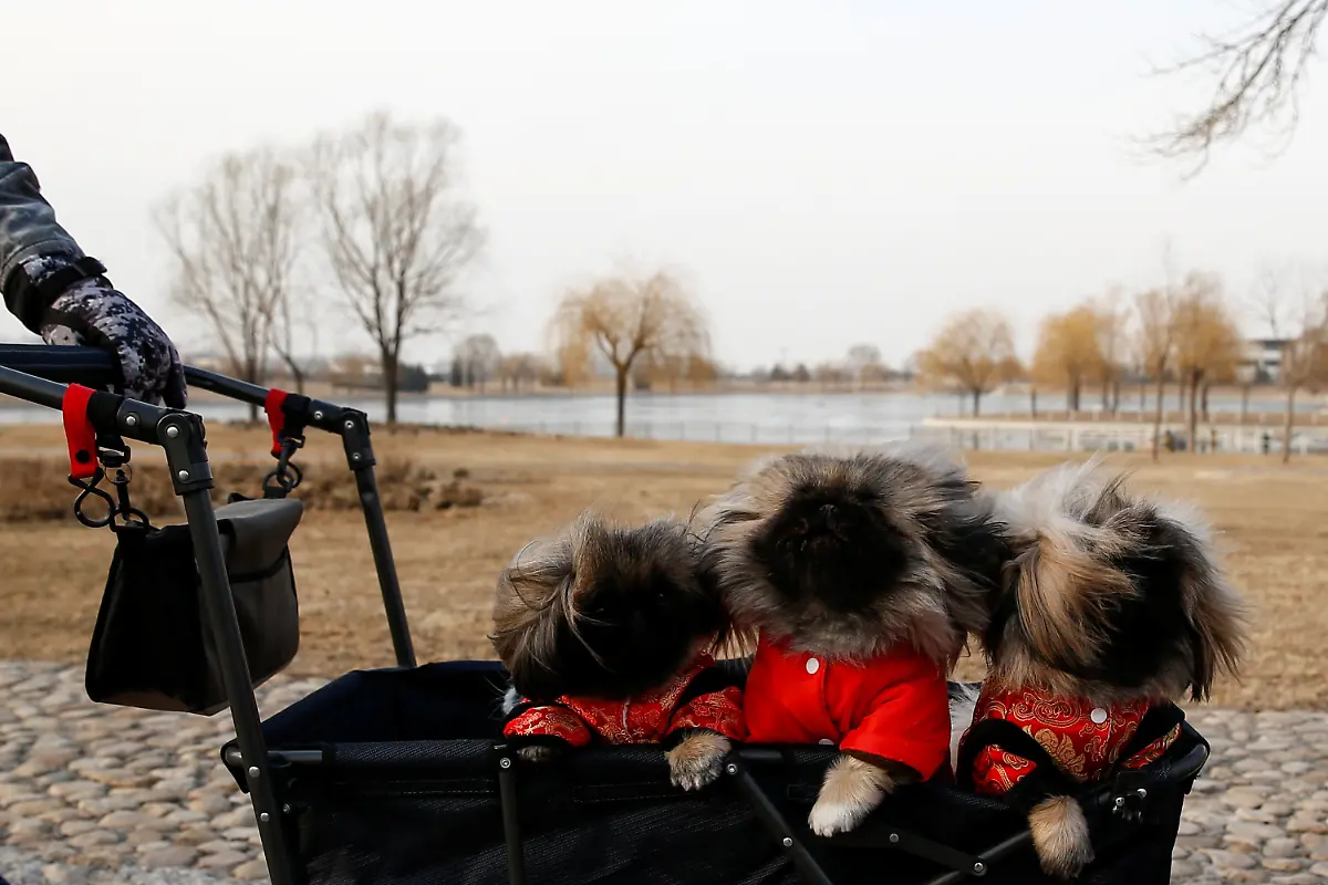 0740428e8c0c426e937f3811d5a082b9