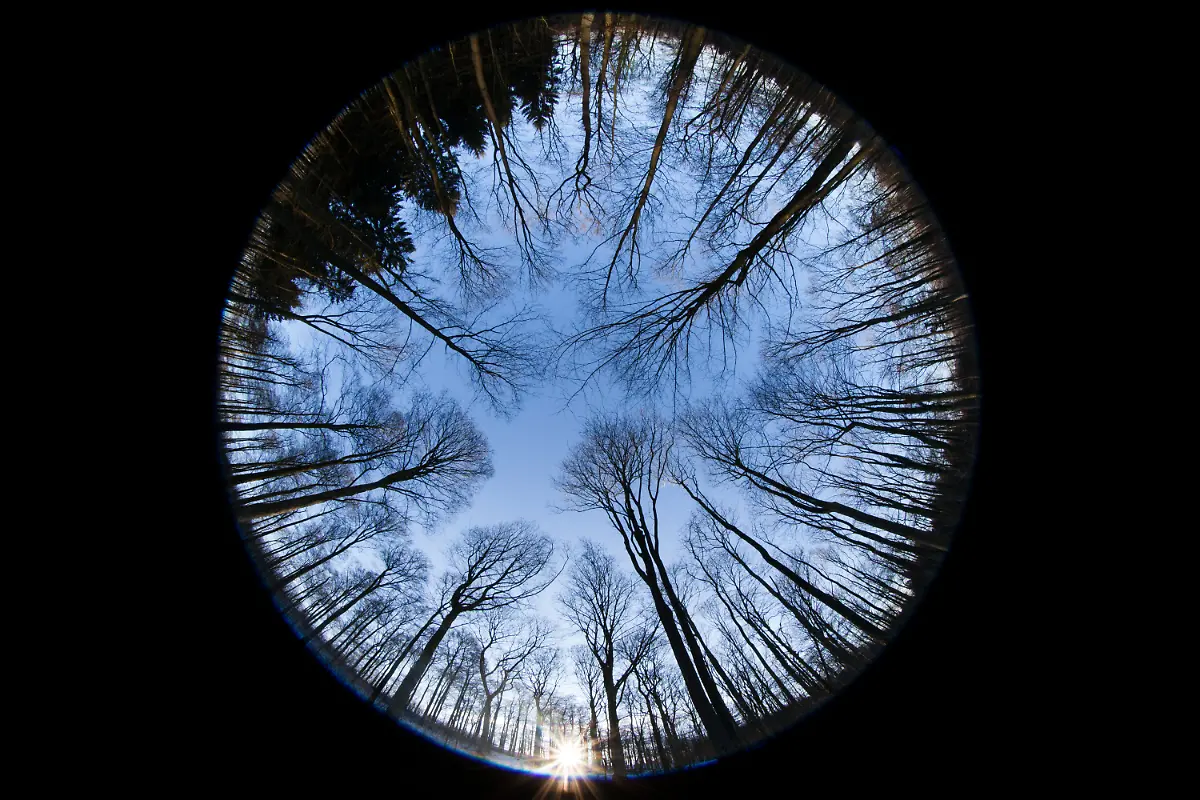 667913ed718a361741ce63822e6f9b0f