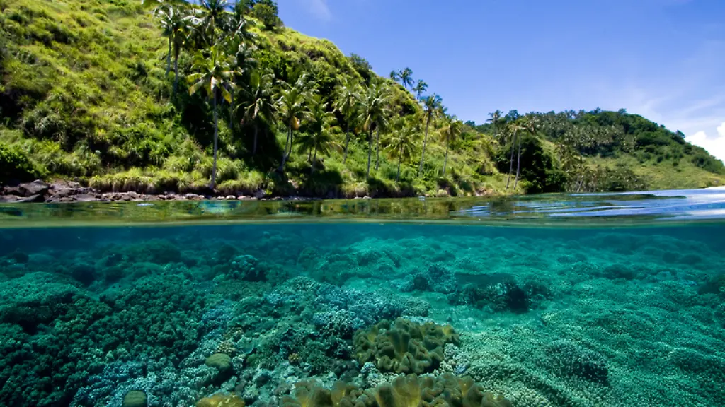 Palawan-Nur-zur-redaktionellen-Verwendung-durch-Themendienst-Bezieher-im-Zusammenhang-mit-dem-genannten-Text-und-nur-bei-vollstaendiger-Nennung-des-nachfolgenden-Credits
