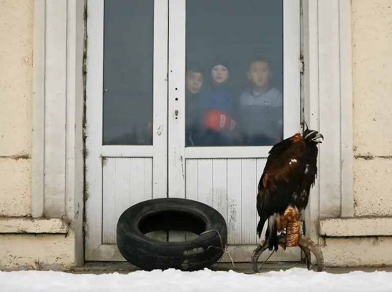 ddf6546ace7dc8a4029d331f7cd2db66