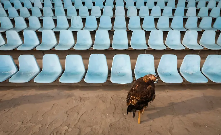 0c6b6f61f44416e8cd151e023c6a6325