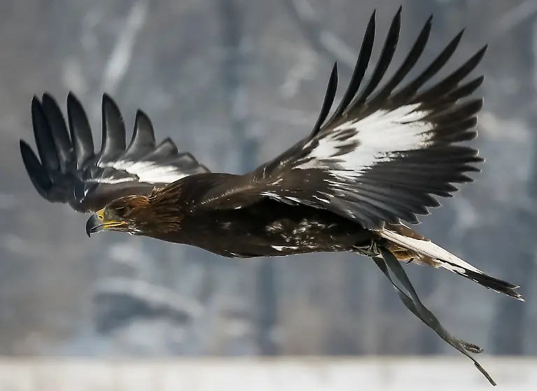 b3a143201076a95e7192461614bd57a3