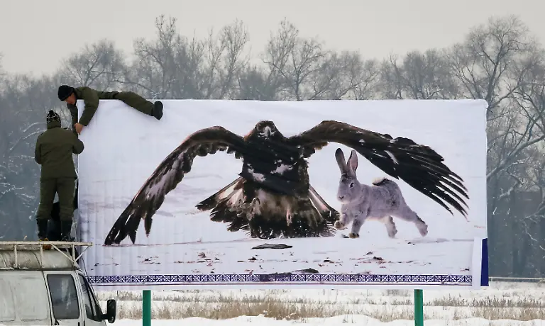 7cd9611cb1aa119314a8ea90bba9d699