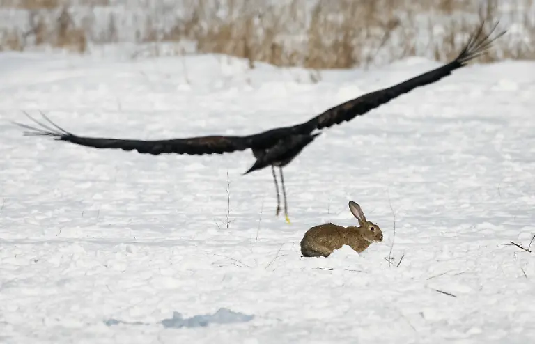 6b04a95e2f2fe6b551c5327bc71d3f05