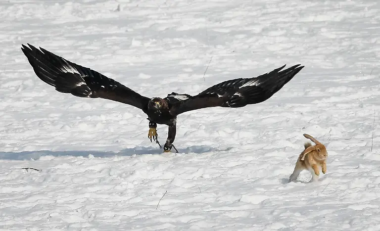 755bd38024eefcfd851752e7d47584bb