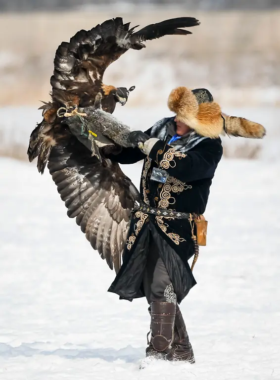 662c87db05412432f584fa8dc26edbd3