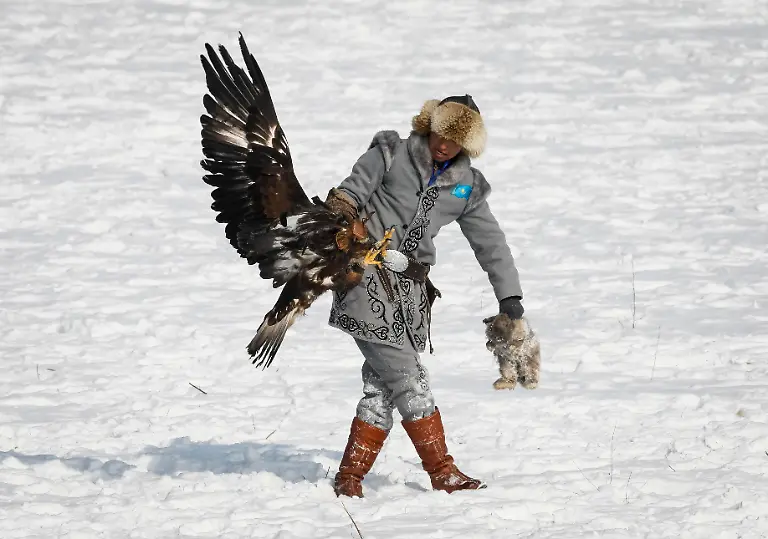 213f83f3988e657bc4af1894f5435ac7