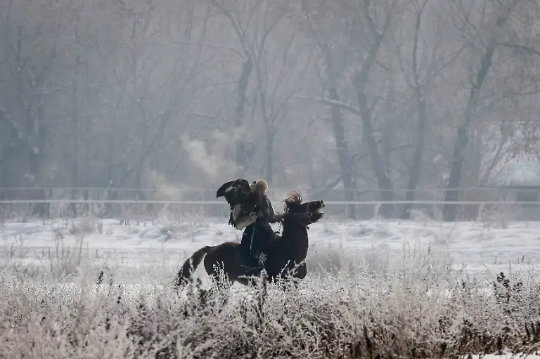 df07321f58b1df46227abb90f49758b6