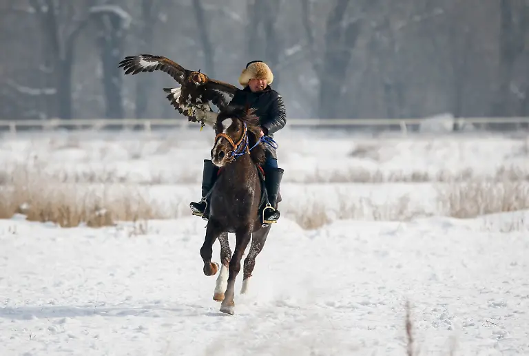 2c13deeeaeb57b353b51d59820c715fa