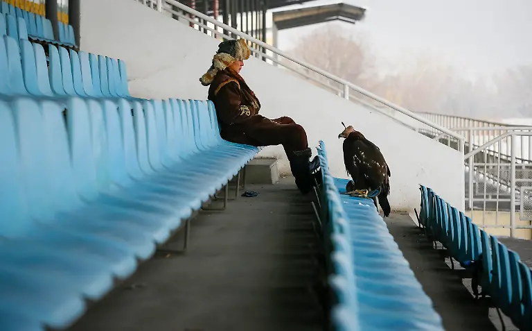 49d94ce4119ac342ea0e470218381692