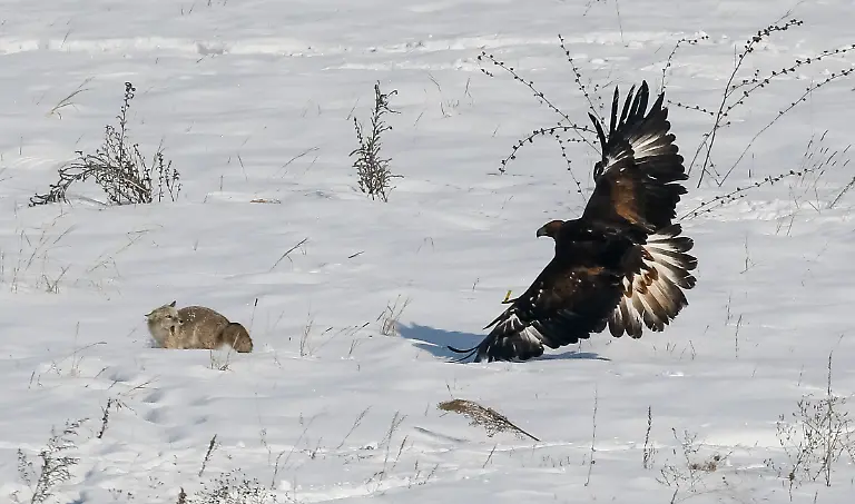 d727c79239c6f121a6aa2565e1d861d1