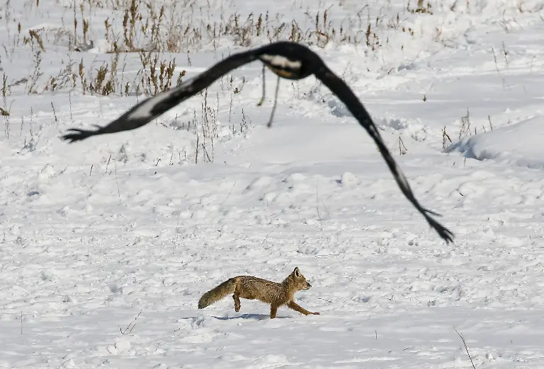 7c33ea0232f6dd71db95be465dc630c6