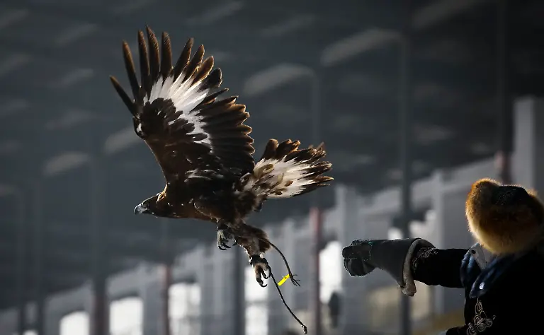 a4e45553999a3cf48650c439343ed90b