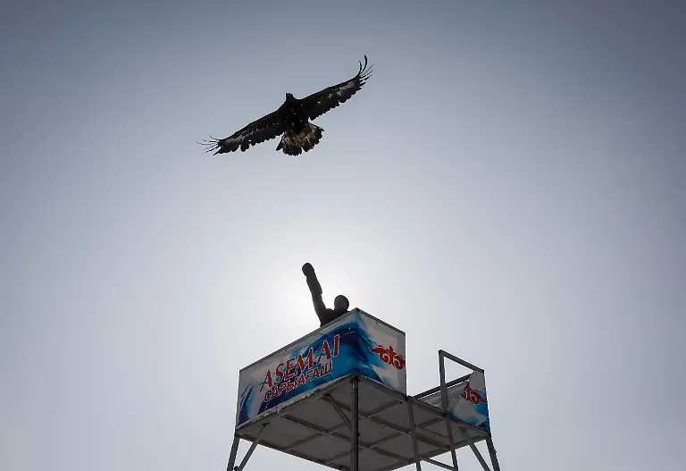 74e67c2e4f5dafd2412d563ad5d0d75b