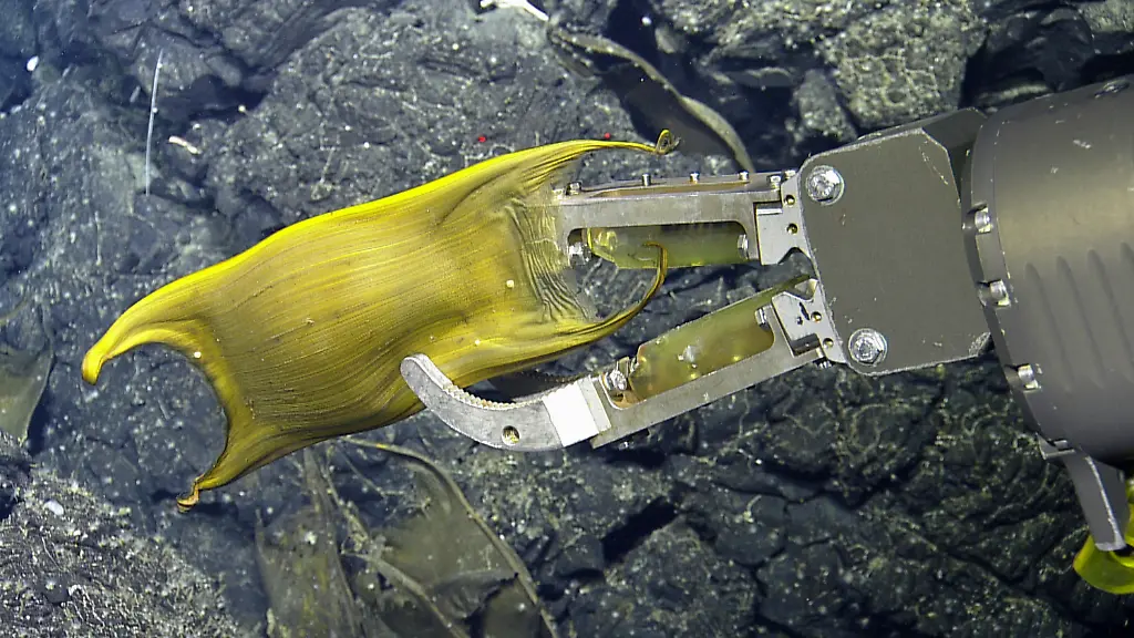 b68c79b507720d9039ceb054afddb353