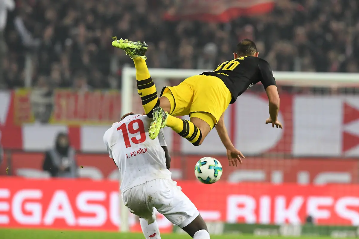 e73fa0c0a9f224aa95724969f2c999e7