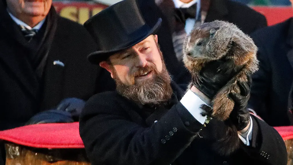 b64f0f40a3ca2026a03d4debed4fcd06