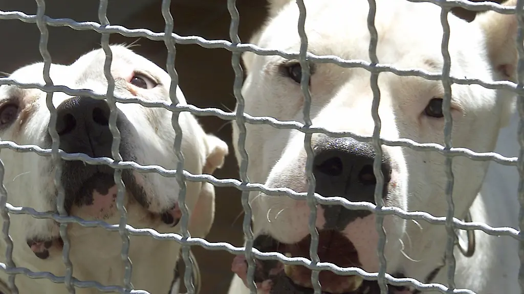 c686dc11101b99f38a995672803ee2ce