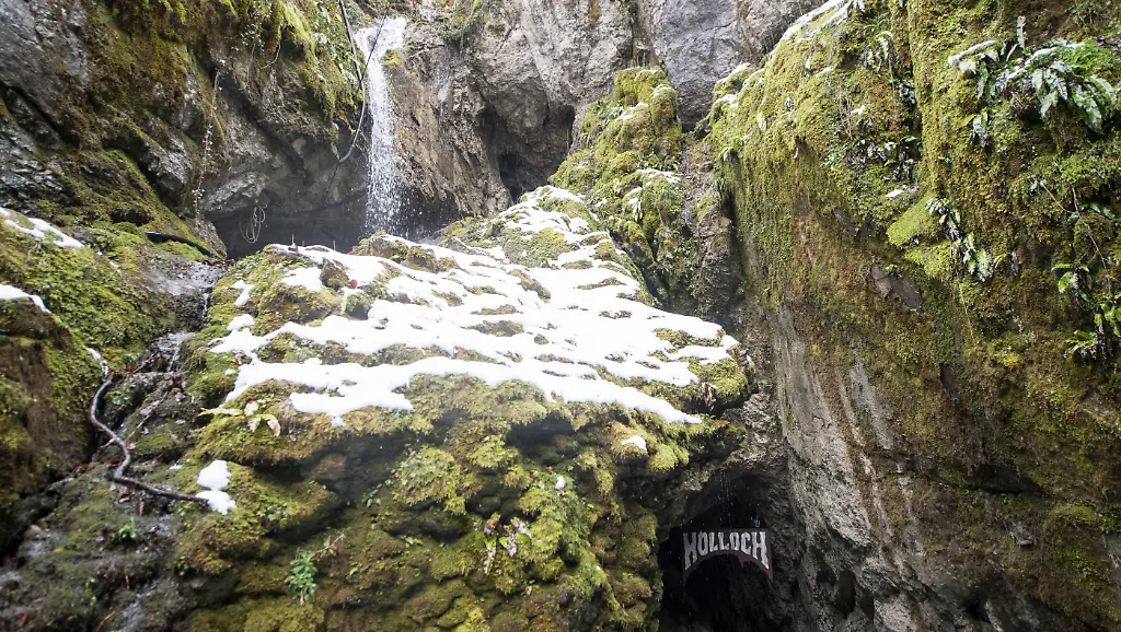 30f61e80e679e400990a730565768ef6