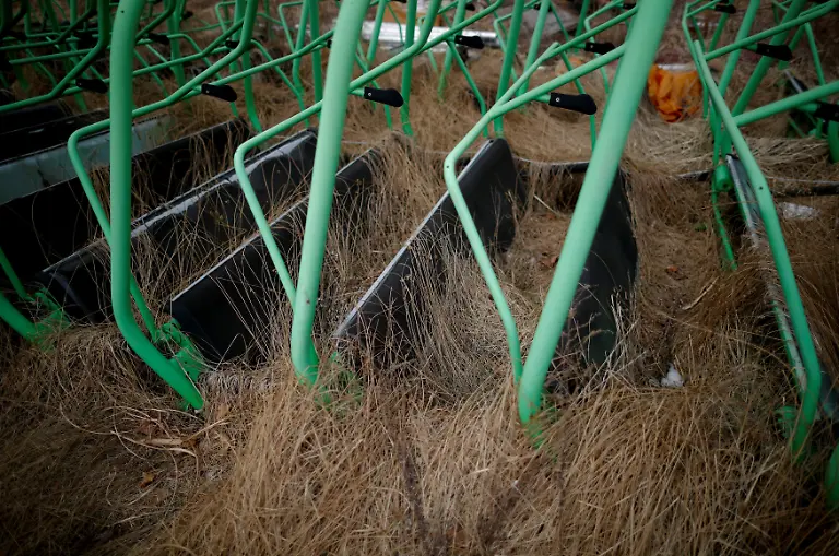 7f9f9bdba390a988be1044b281054cde