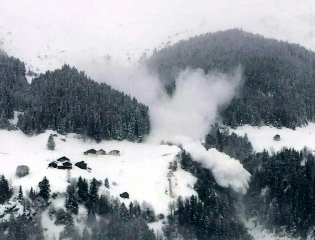 83d6de9df5c7303e6f36c76c9cee5a11