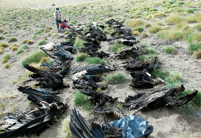 3d8e51400c41fdce772a0a8933dfe66d