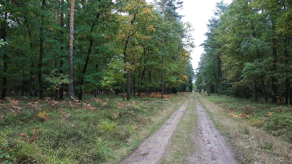 2013-Besucherkanzel-Roethen-02