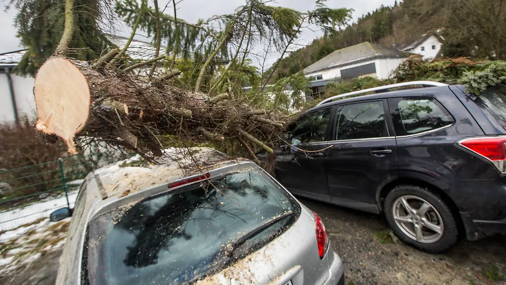 c81cceab6377dfcbdde5a7eb4ddc8a2c