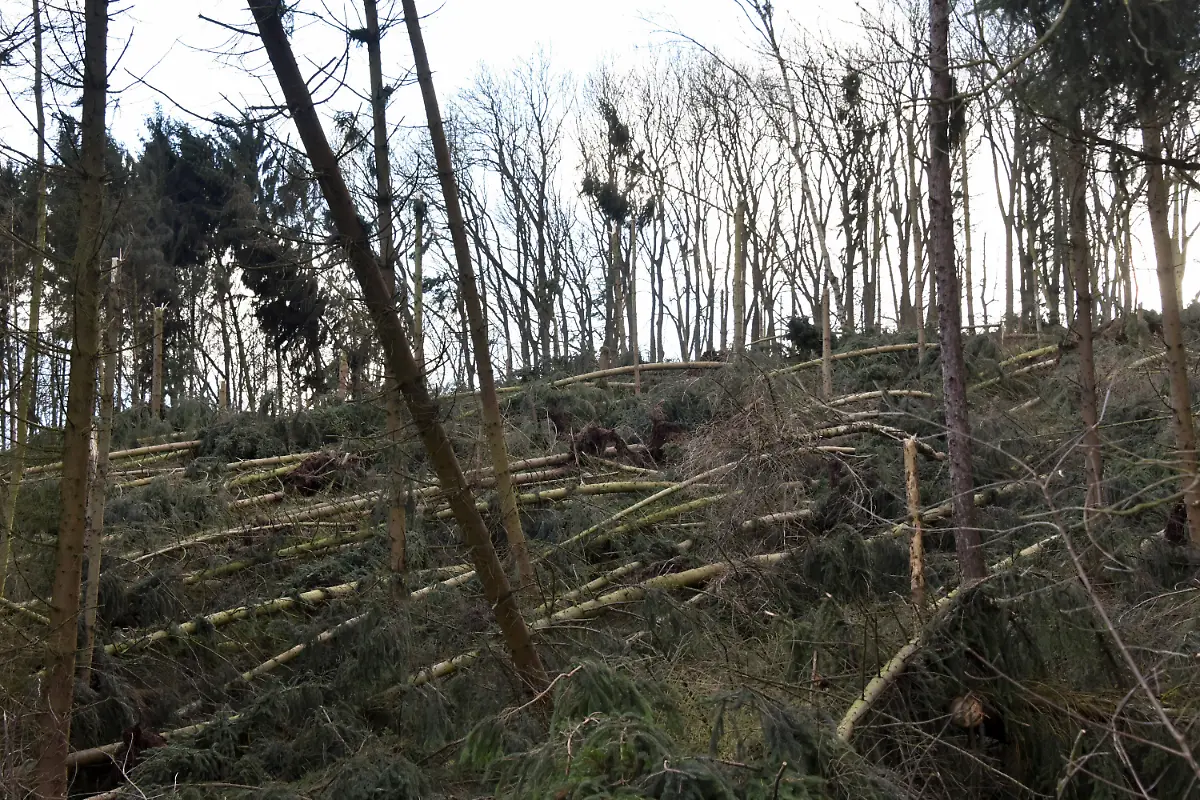 c63f1102a6f42b120826c422f00cc47a