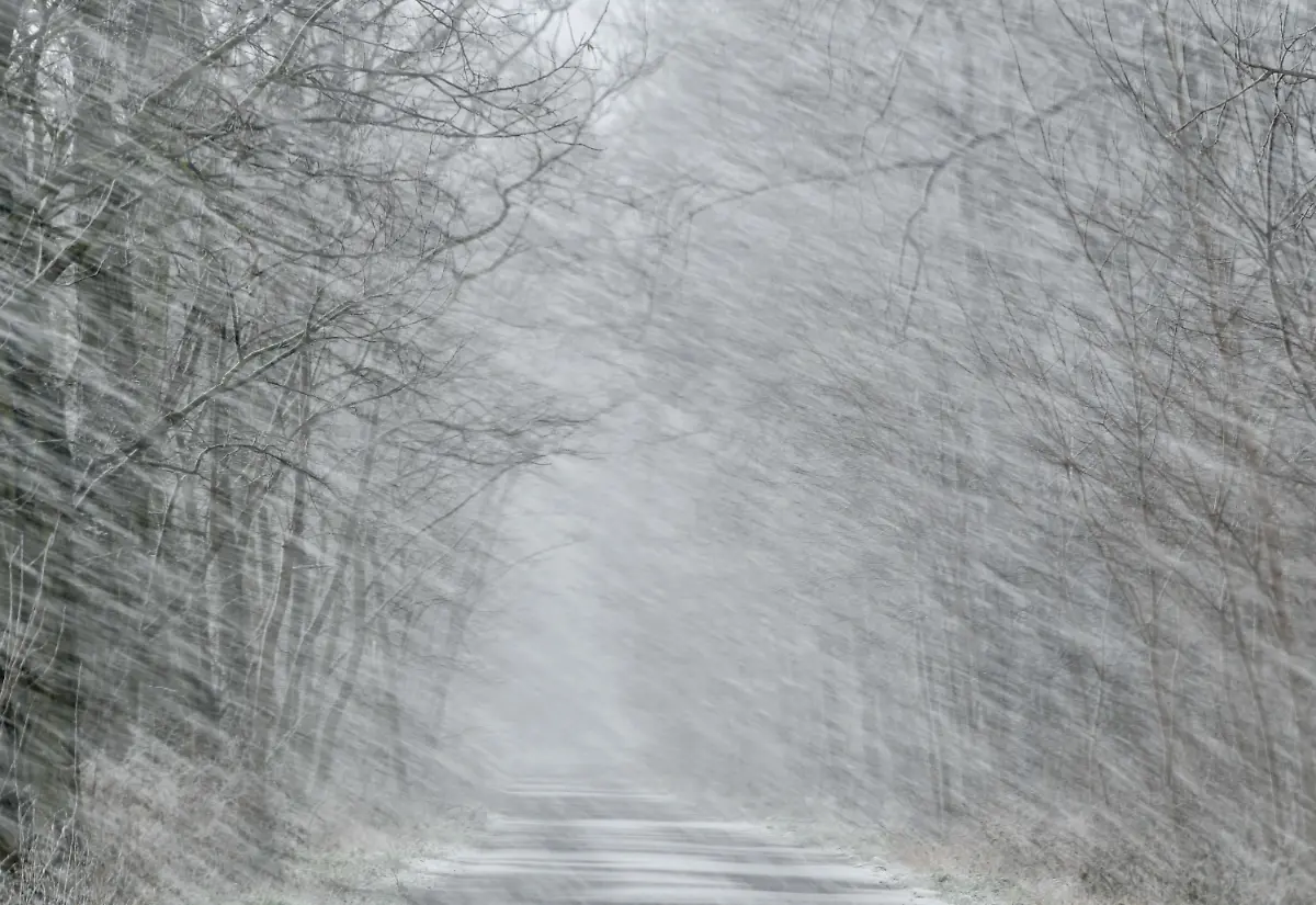 83c5cc0df1b62c71d8ba09797ea938d3