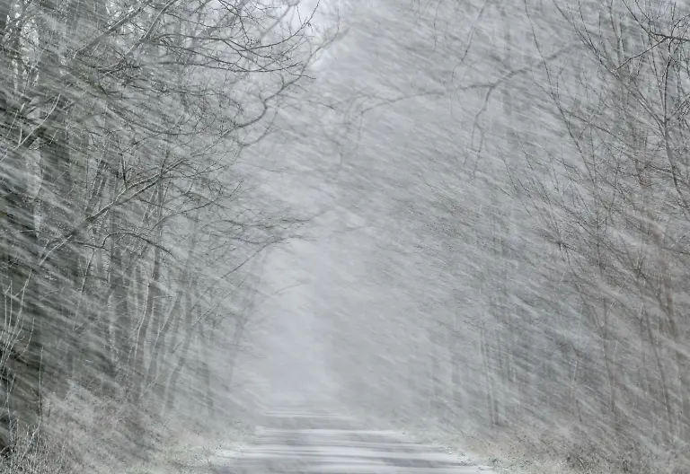 83c5cc0df1b62c71d8ba09797ea938d3