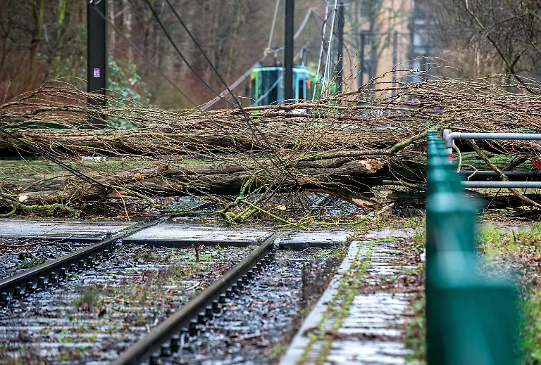 8473934f99cfcf1b56c0b07255ef1ebf