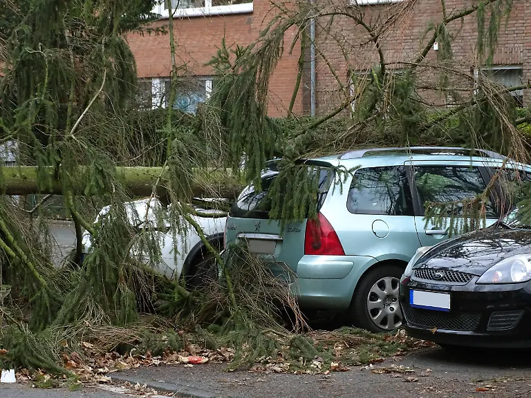 bc91544f0bfedadd5bcdf5b4f968f648