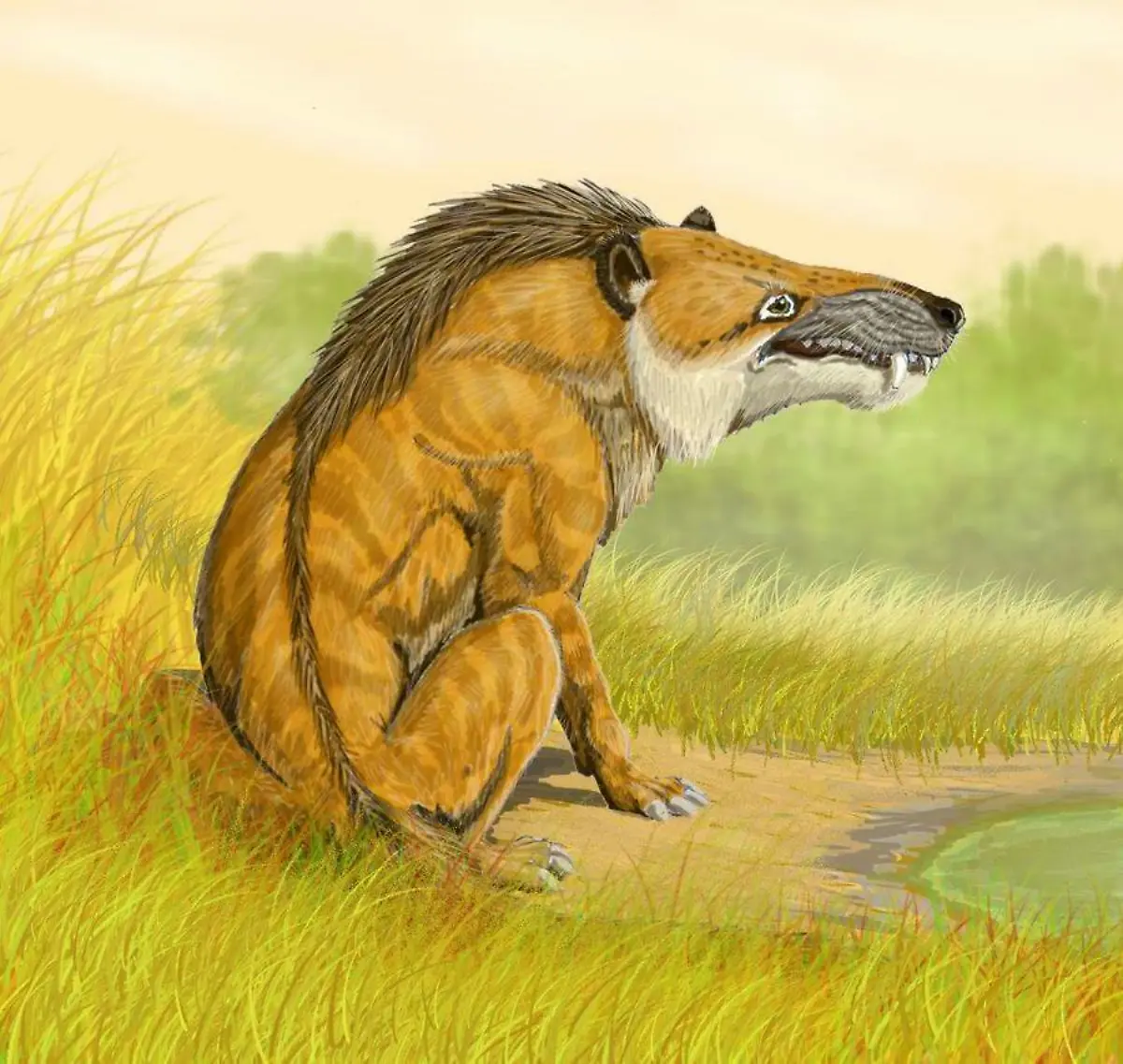 Andrewsarchus-DB