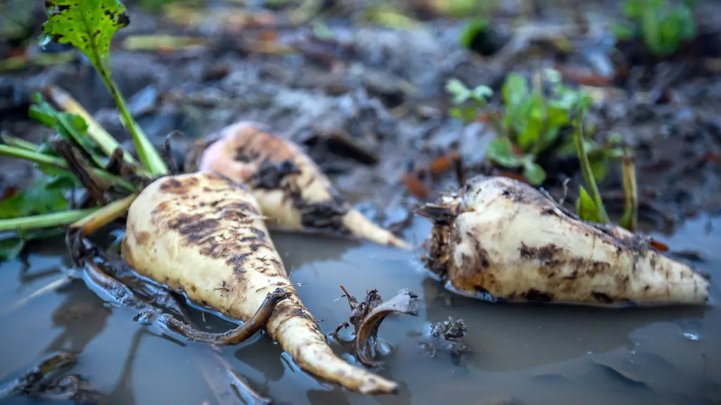 db5f62ed612a8fd69379c2f604fa5a19