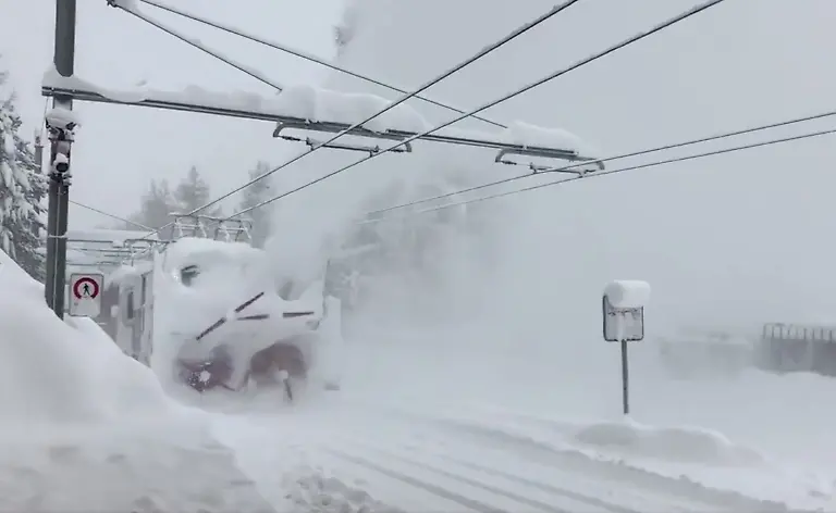 8ff419581153595b1aefd245304235b6