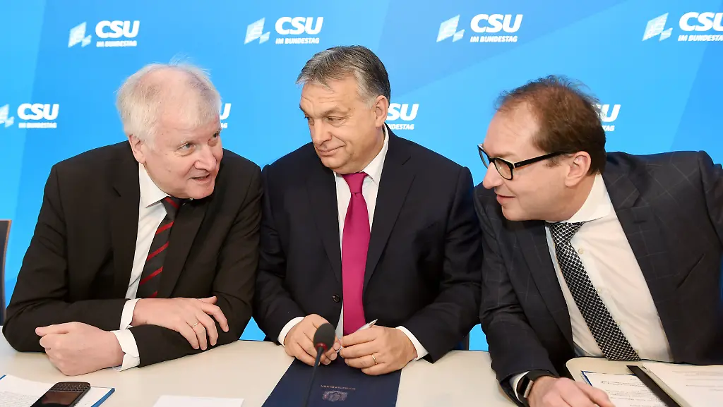 e865e2cba7459726f2fcb03b8d75286b