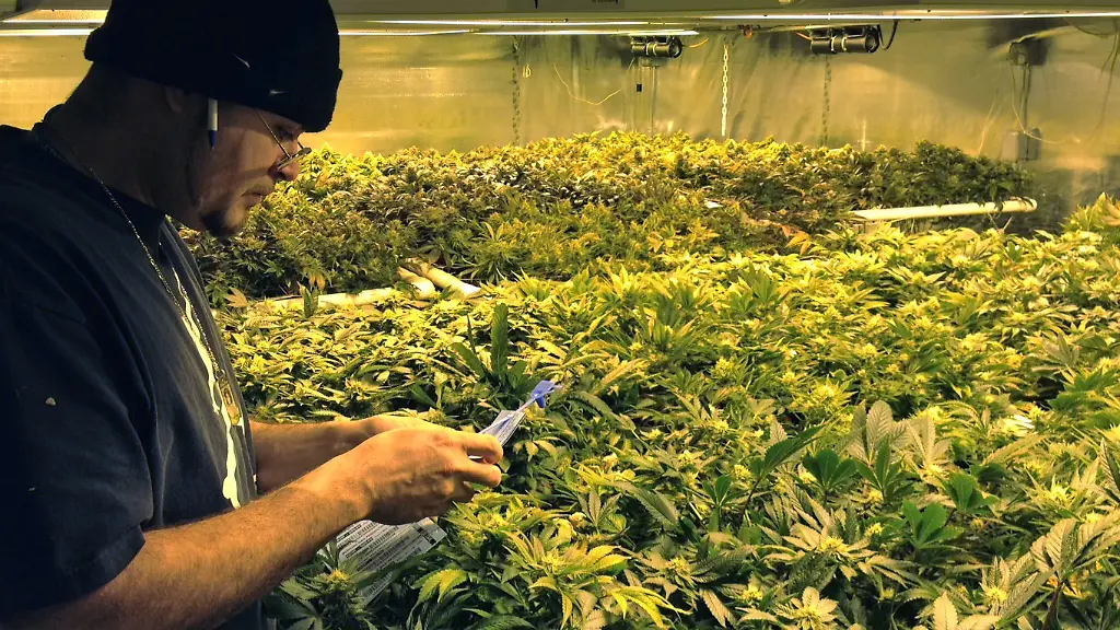 d8819123ea14b80ba0fd7f40a09e3e0f