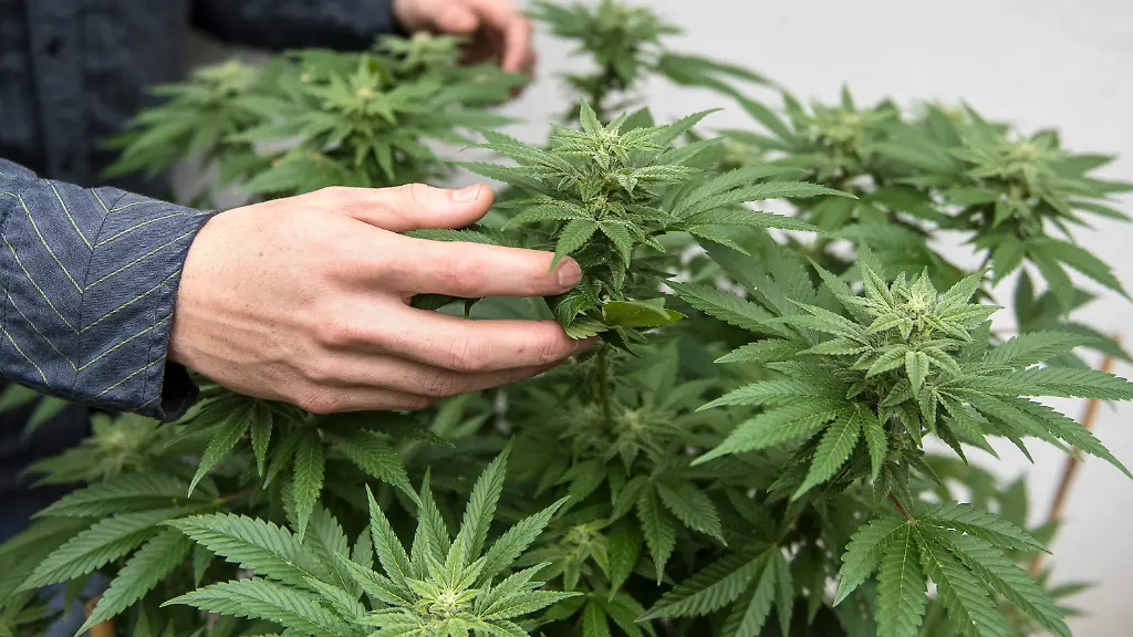 a51da67bb52f607a79eebe4d35172b7b