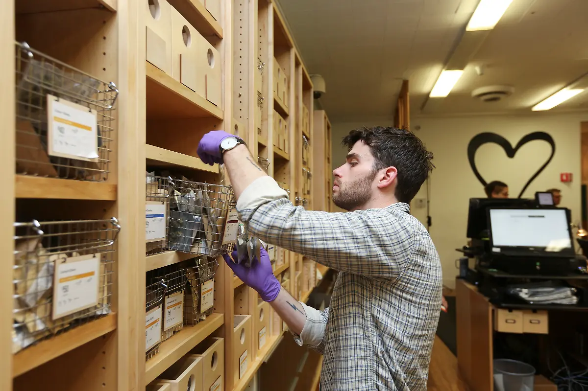 7323ce1cfbf659cf18715212a22fdf19