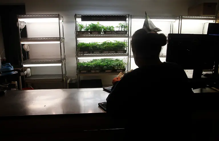 ab01996e99e85675ae1ea2e4cc4a6c1b