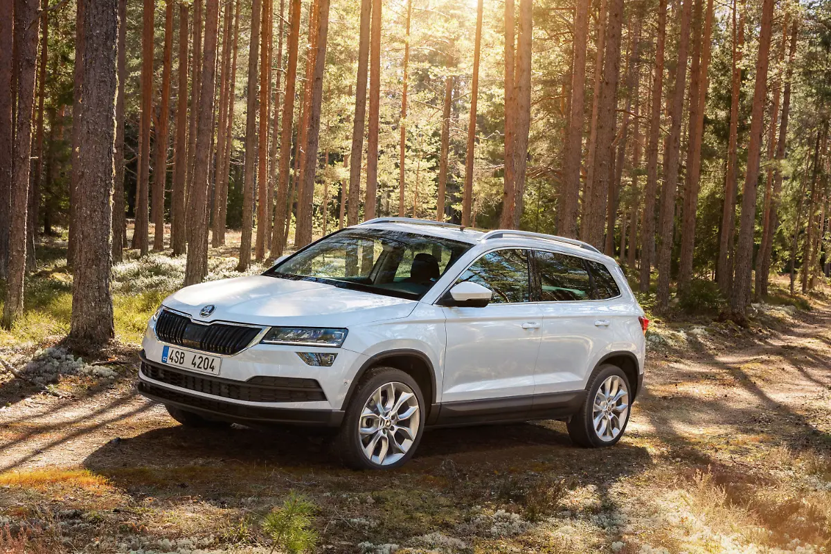 Skoda-Karoq-w-VO