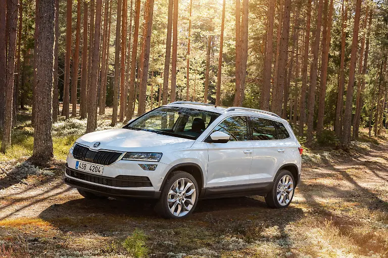 Skoda-Karoq-w-VO