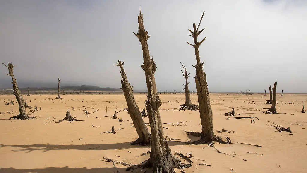 8b5bce0a19bb7134f5db7c234f0260c3